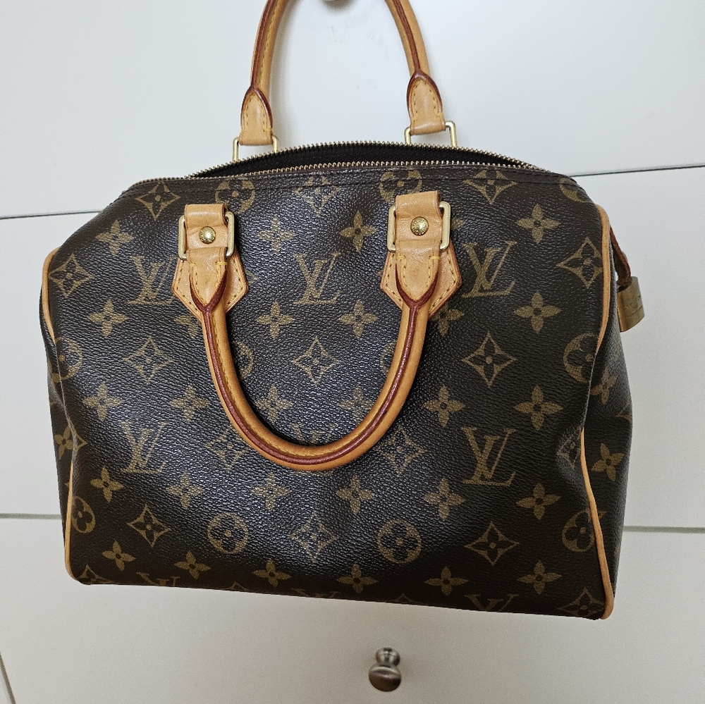 Louis vuitton top handle bag